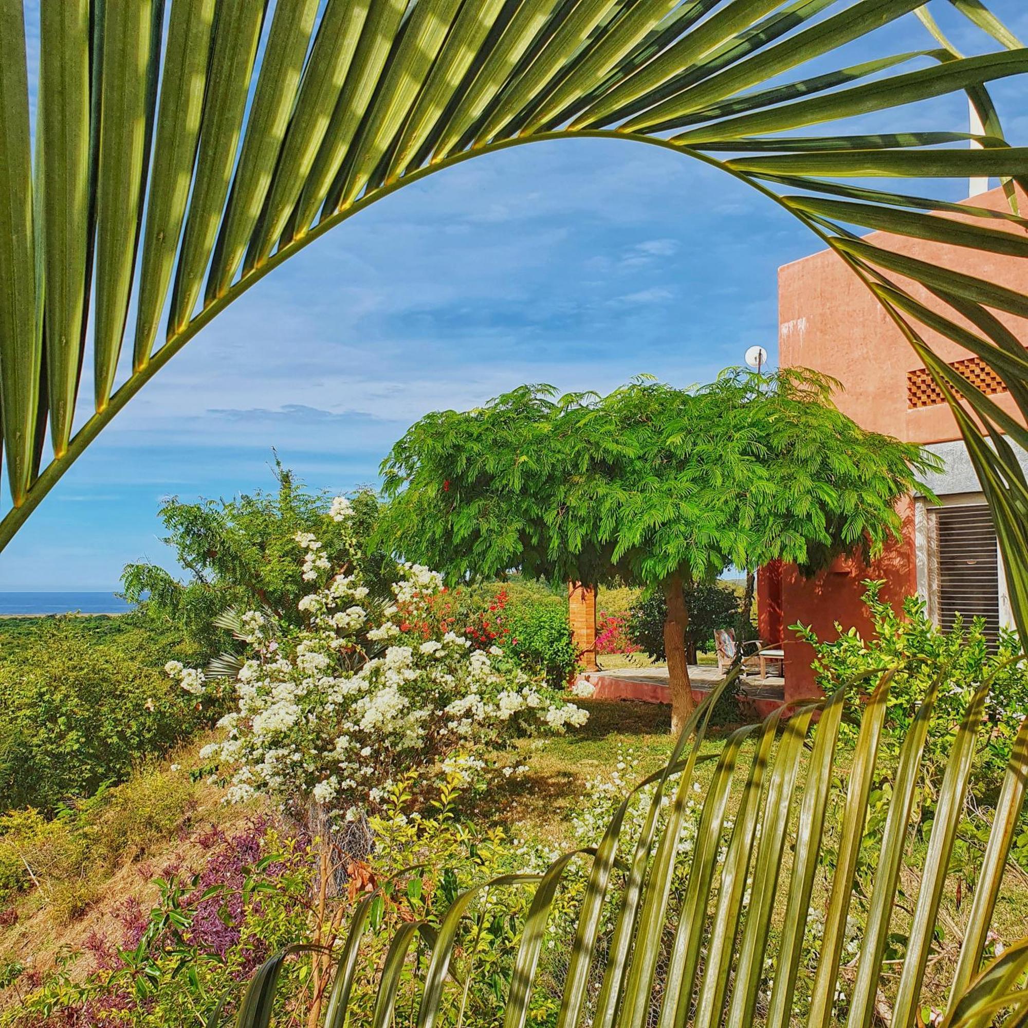 Villa Aura Del Limbo à Careyes Extérieur photo